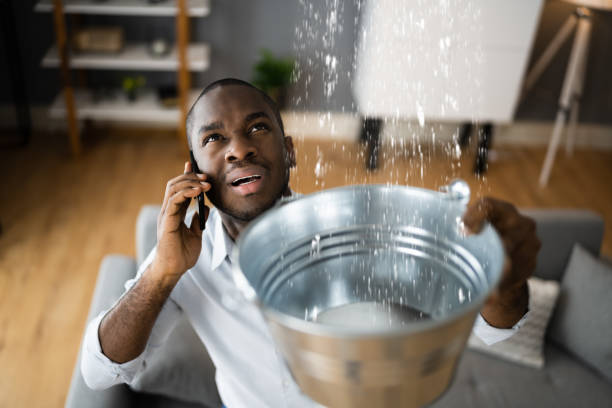  Piedmont, SC Water damage restoration Pros