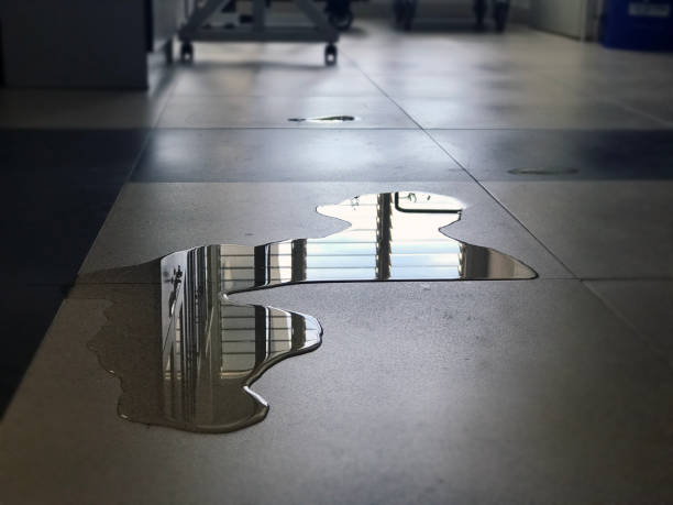 Best Carpet water damage restoration  in Piedmont, SC